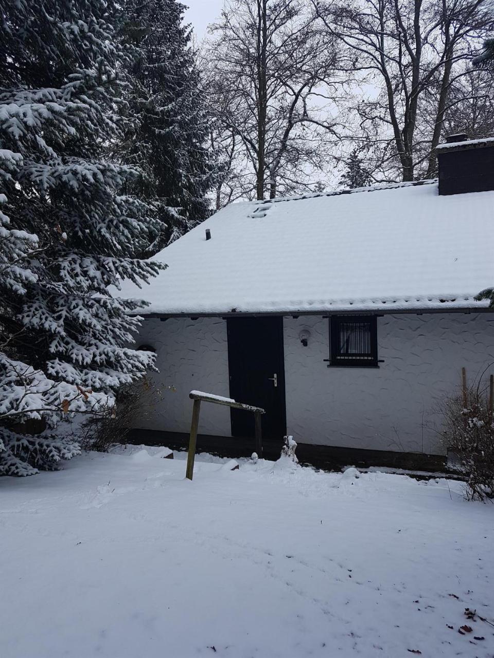 Ferienhaus Ammermann Lissendorf Exterior foto